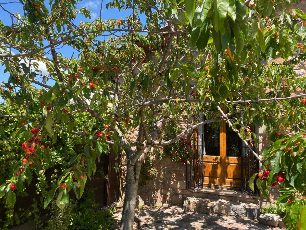 Era De Trespui En Pirineos Villa Peramea Eksteriør billede